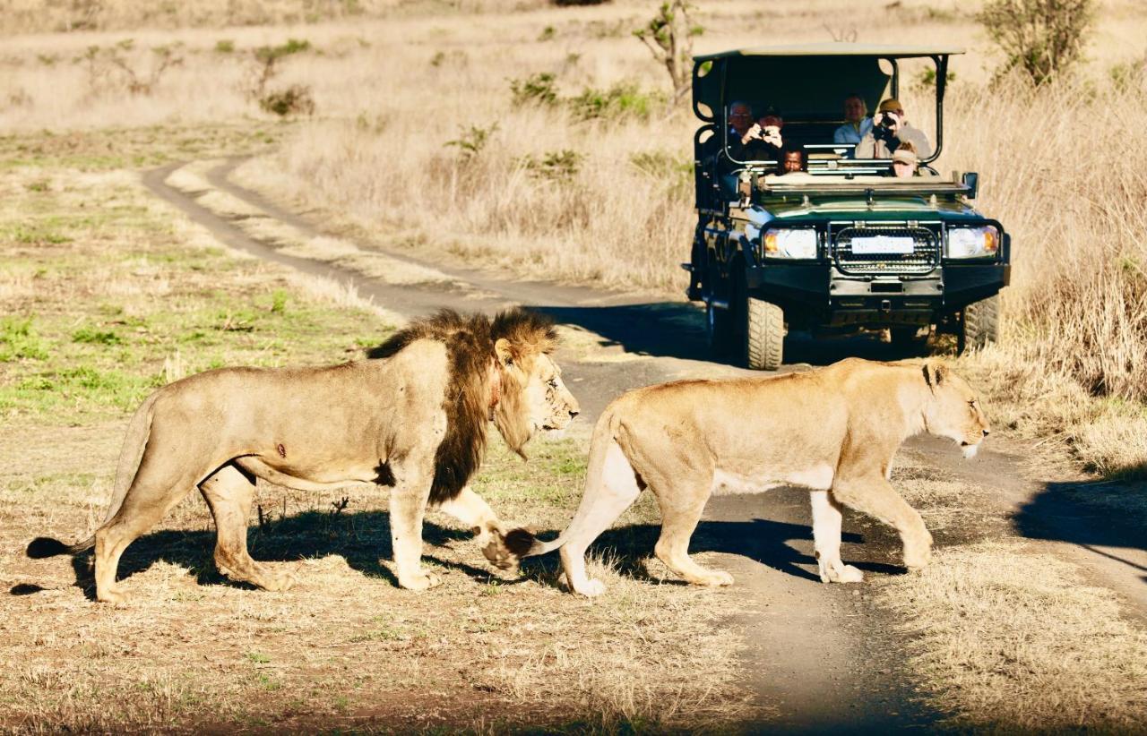 Esiweni Luxury Safari Lodge 레이디스미스 외부 사진