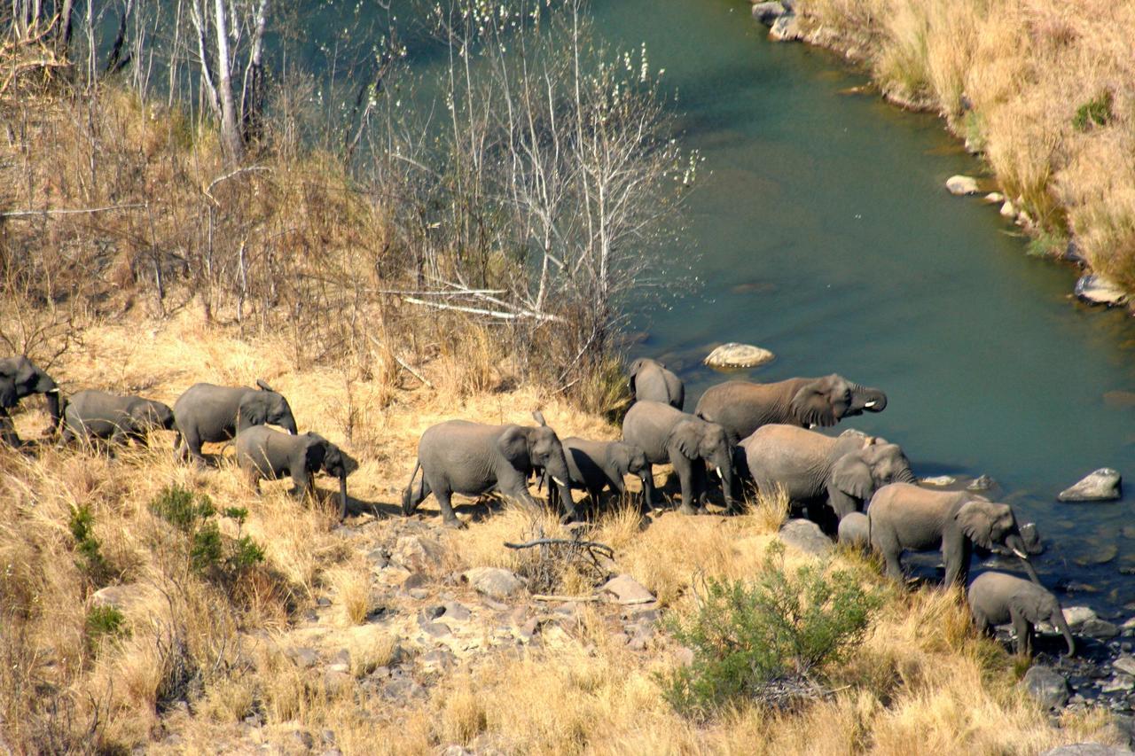 Esiweni Luxury Safari Lodge 레이디스미스 외부 사진