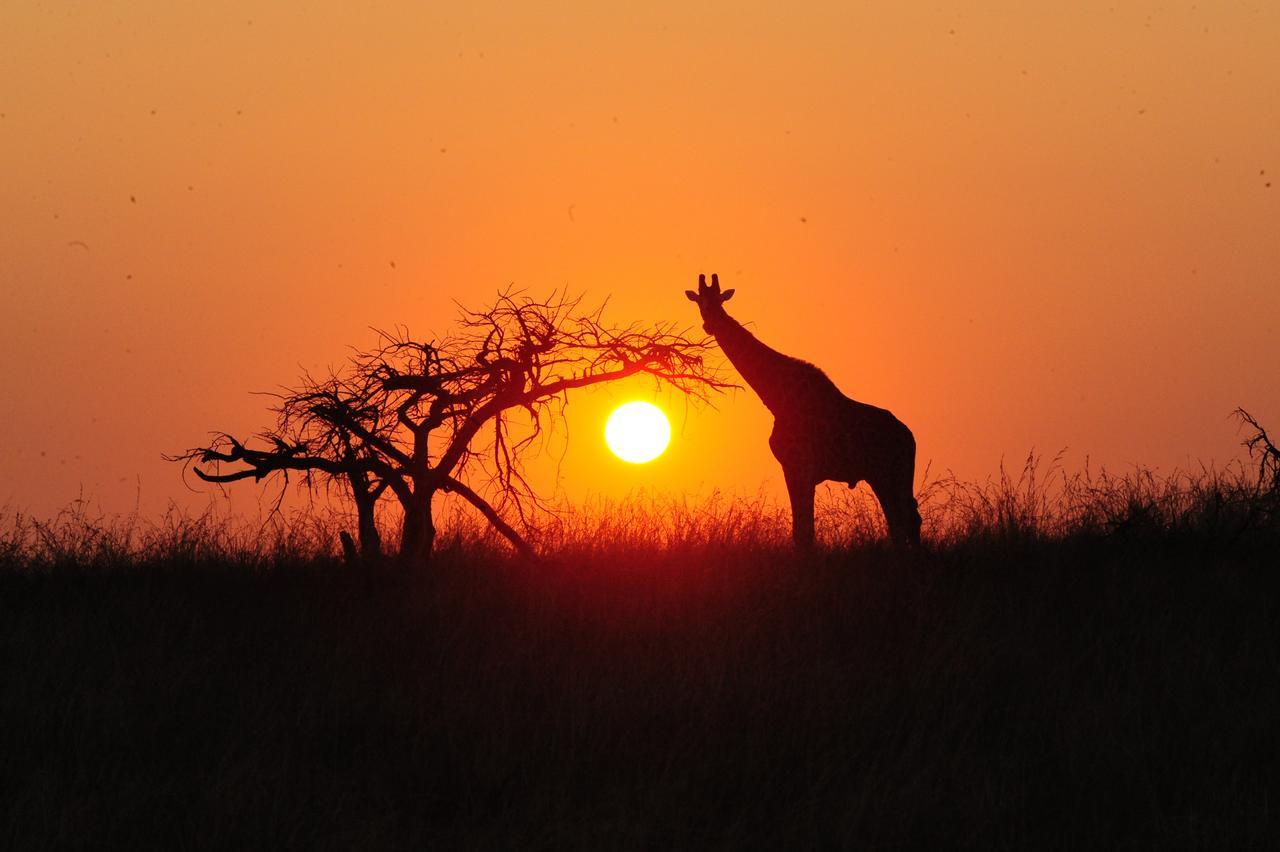 Esiweni Luxury Safari Lodge 레이디스미스 외부 사진